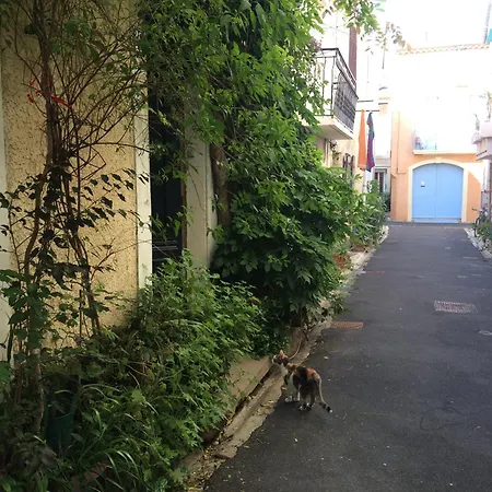 La Petite Glycine 度假居 *