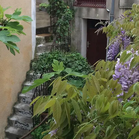 La Petite Glycine Holiday home Serignan